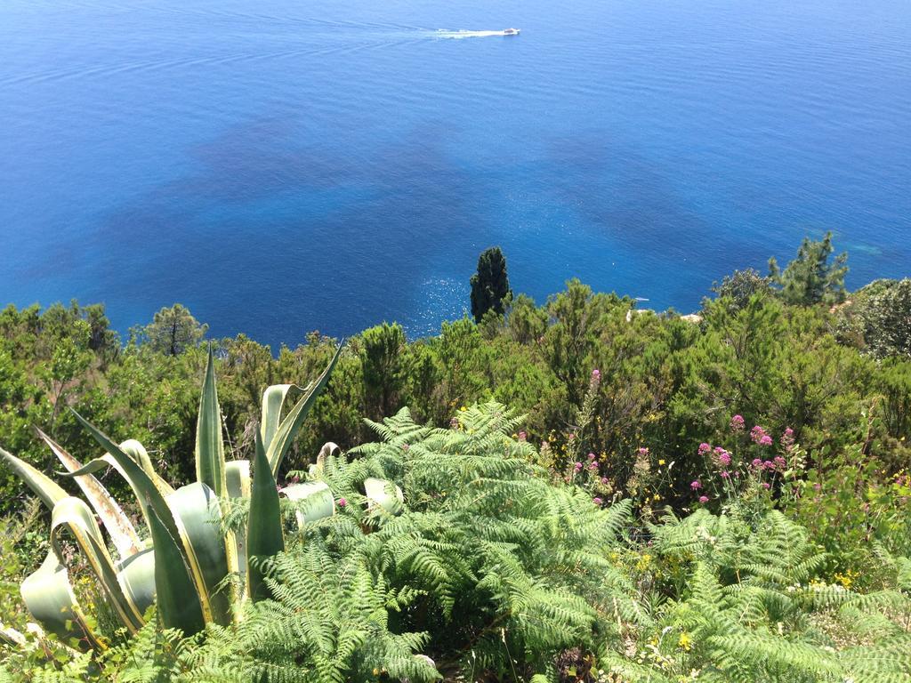 Il Casale Del Giglio Bed & Breakfast Santo Stefano di Magra Exterior photo